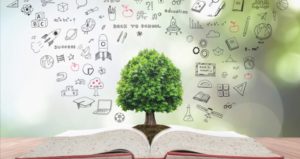 Tree coming from book with educational thoughts represents teaching philosophy