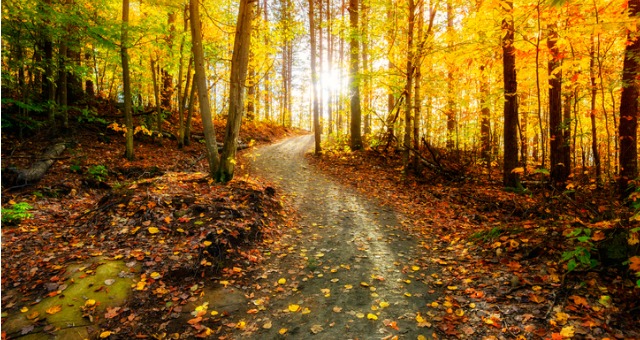 Autumn Nature Walk