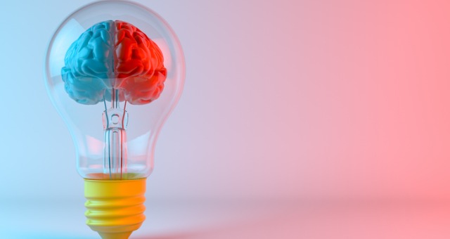 Light bulb with a brain inside showing two sides, a red side and a blue side