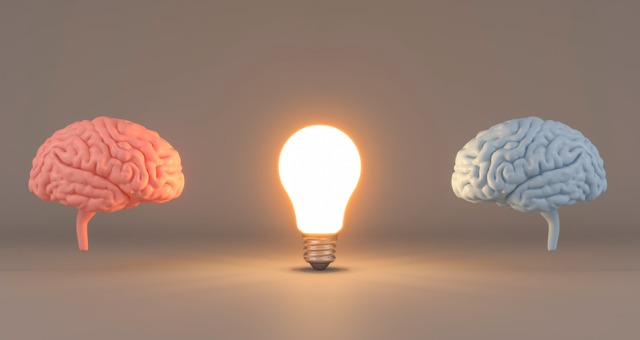 Two brains with light bulb in middle