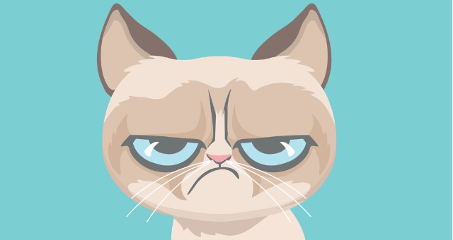 Grumpy cat illustration