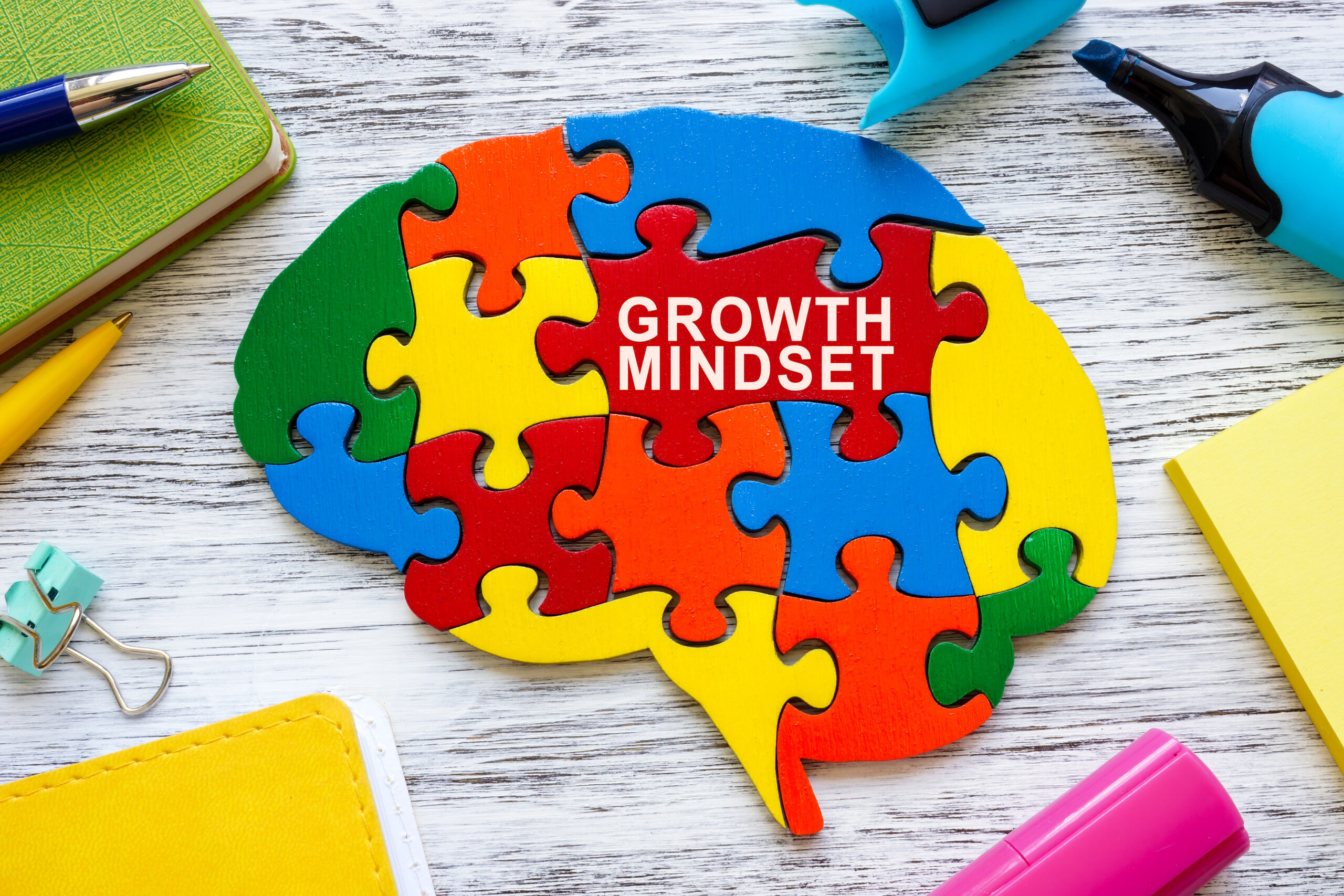 Growth mindset concept. A Brain from colored puzzle pieces.