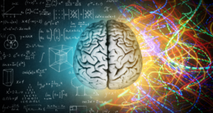 brain-in-half-with-two-different-visuals-assigned-to-it-learning-differently