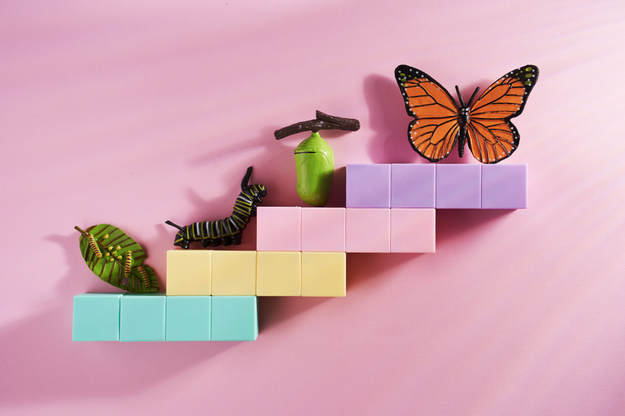 Teaching for Transformation: Lessons from the Monarch Butterfly – Faculty Focus